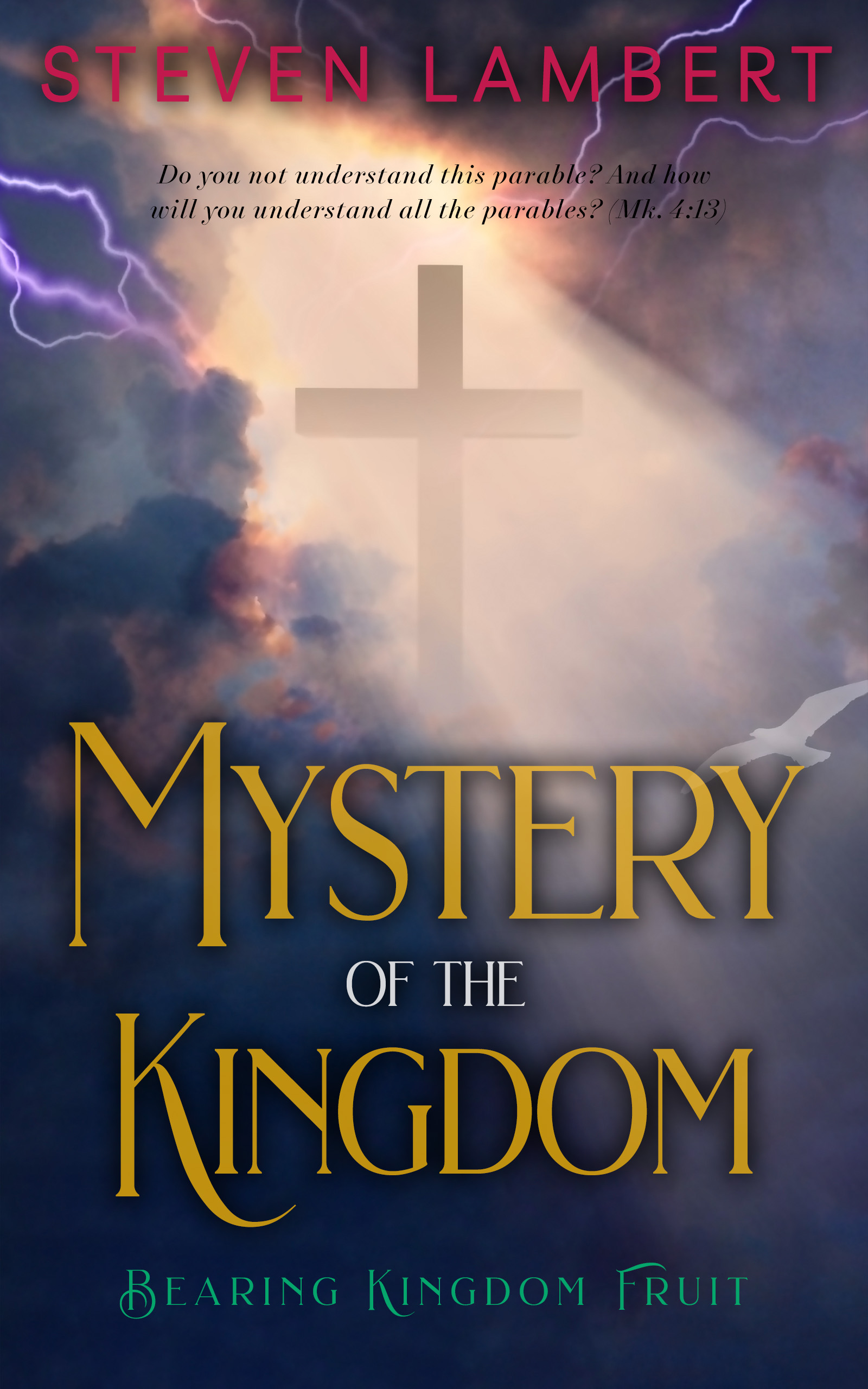 Mystery of the Kingdom Kindle Cover